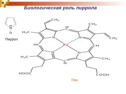 Биологическая роль гем содержащих белков