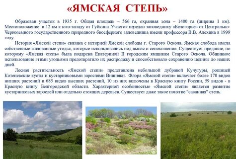 Сообщение на тему белгородская область