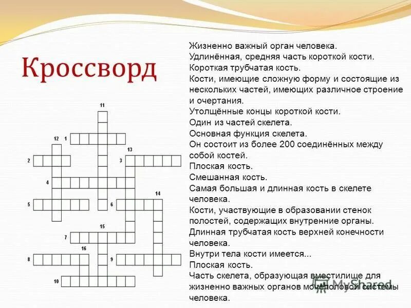 Составьте кроссворд по теме «клетки, ткани, органы, системы органов». Вопросы по теме анатомии. Вопросы на тему тело человека. Кроссворд по анатомии. Кровеносная система человека 3 класс.
