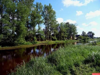 Погода в березайке