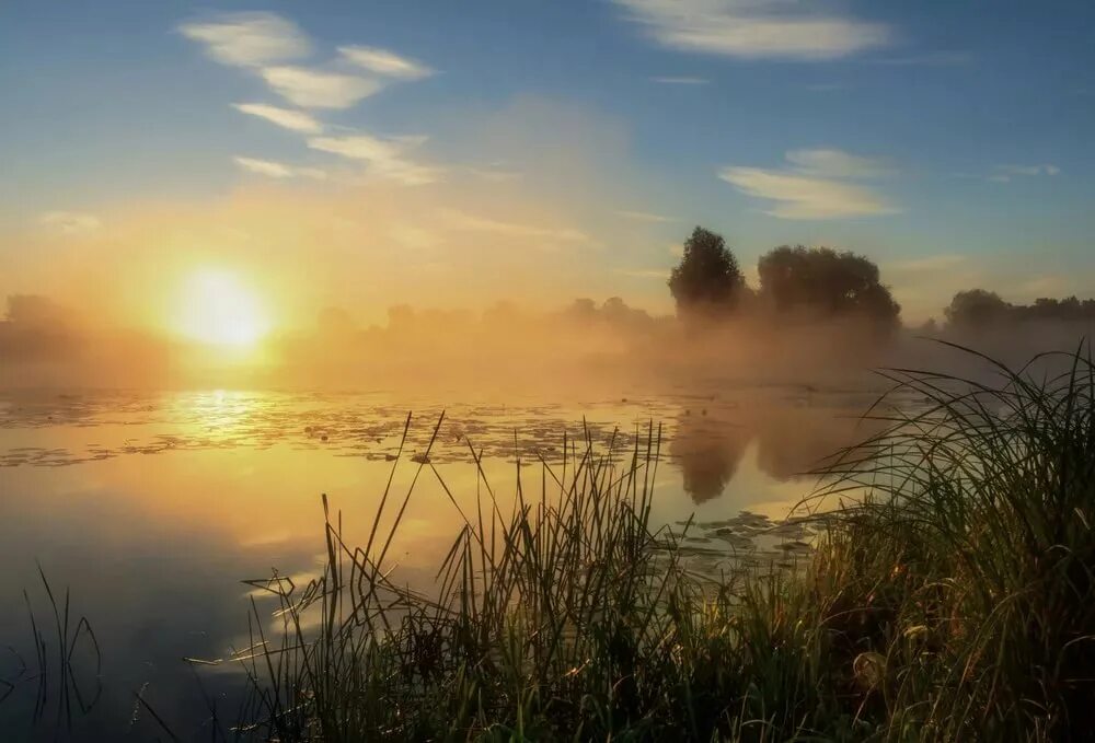 Утро на озере. Раннее утро на озере. Ранний рассвет. Туманное утро на озере.