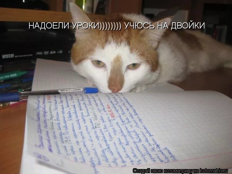 Надоело быть профи хочу отдыхать 57