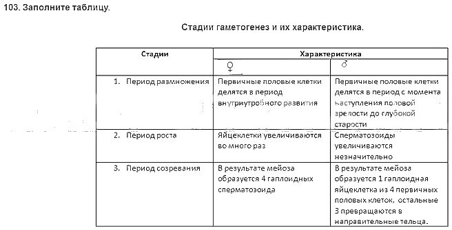 Установи соответствие между стадиями гаметогенеза. Таблица фазы гаметогенеза процессы. стадии гаметогенеза таблица. фазы гаметогенеза таблица фаза процессы. стадии гаметогенеза и их характеристика таблица.