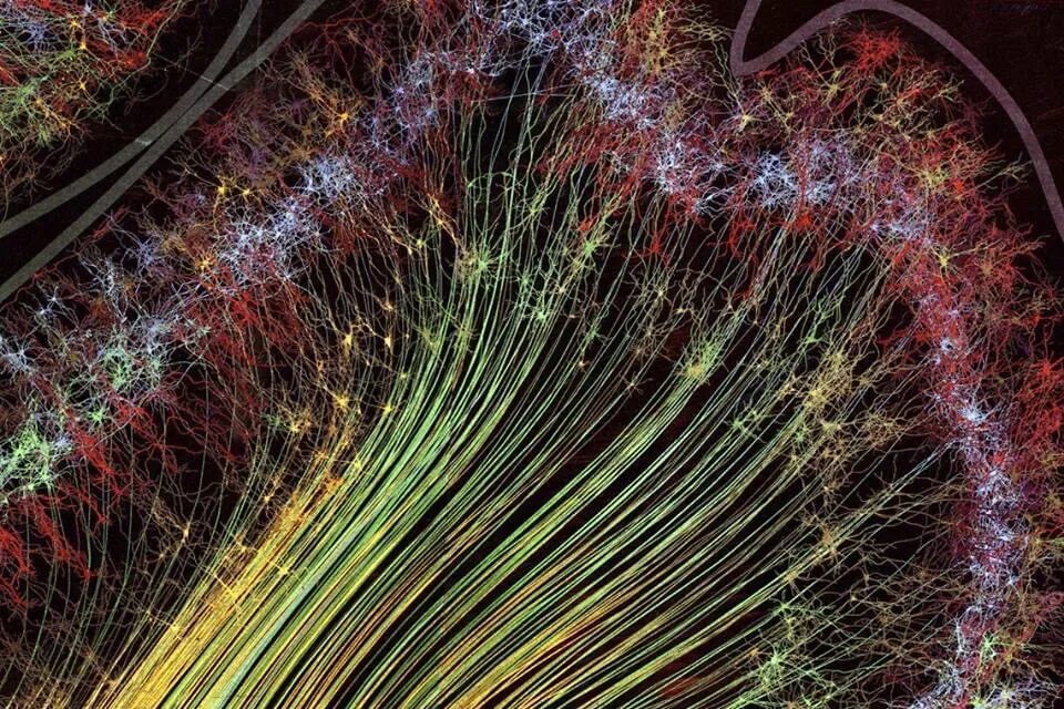 Библиотеки для нейронных сетей. Снимки головного мозга Greg Dunn. Нейронная сеть головного мозга человека. Нейрон Пуанкаре микрофотография. Нейросеть Нейроны.