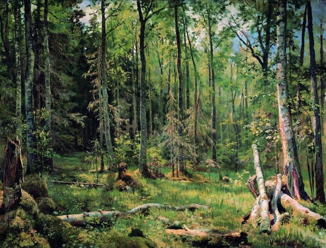 И. Шишкин. «Дубовая роща». 1887 Г.. Тевтобургский лес Шишкин.