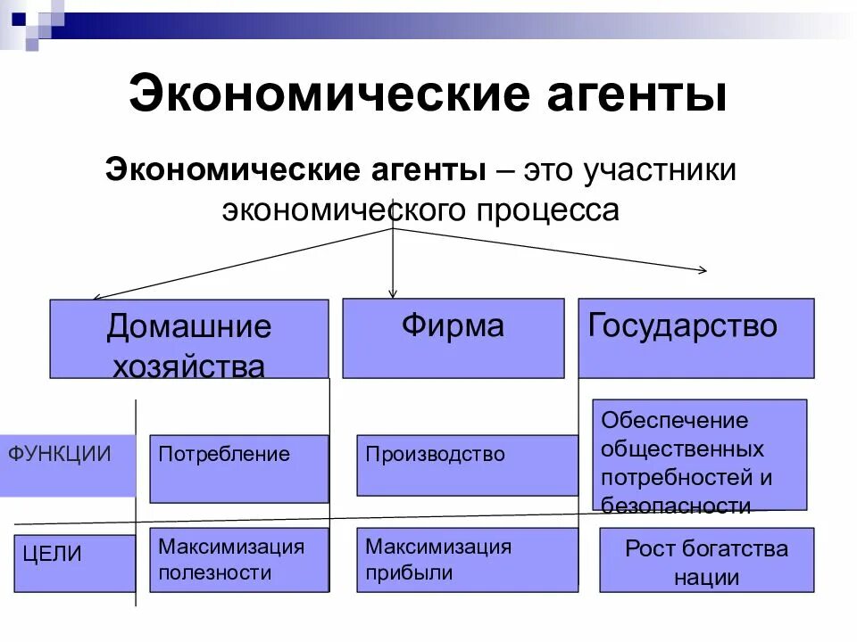 Экономические агенты. Экономические агенты в экономике это. Экономические агенты примеры. Функции экономических агентов. К общественному производству относят