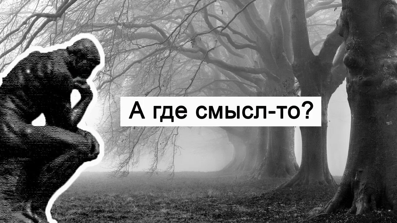 В смысле где живут. Где смысл. Изображения со смыслом. Мемы со смыслом. Смысл со смыслом Мем.