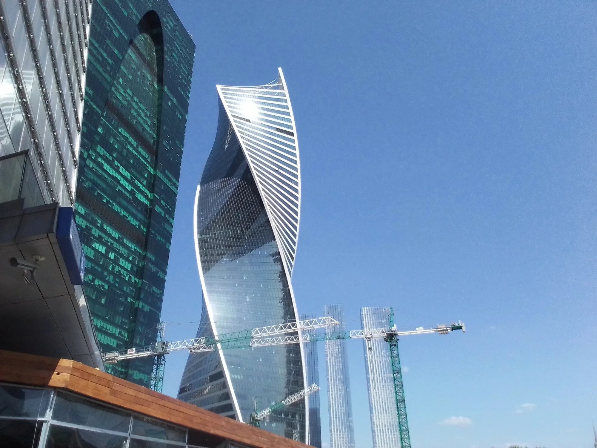 Прогулка 2025. Прогулка 2025