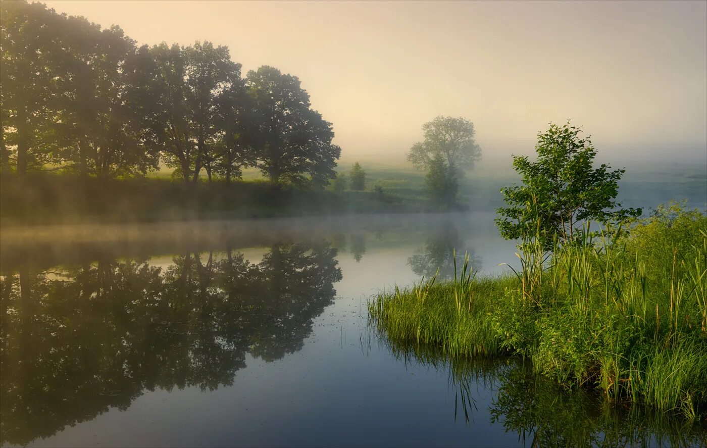 Утренняя река. Утро на реке. Туман на реке. Летнее утро на реке. Летнее утро на озере