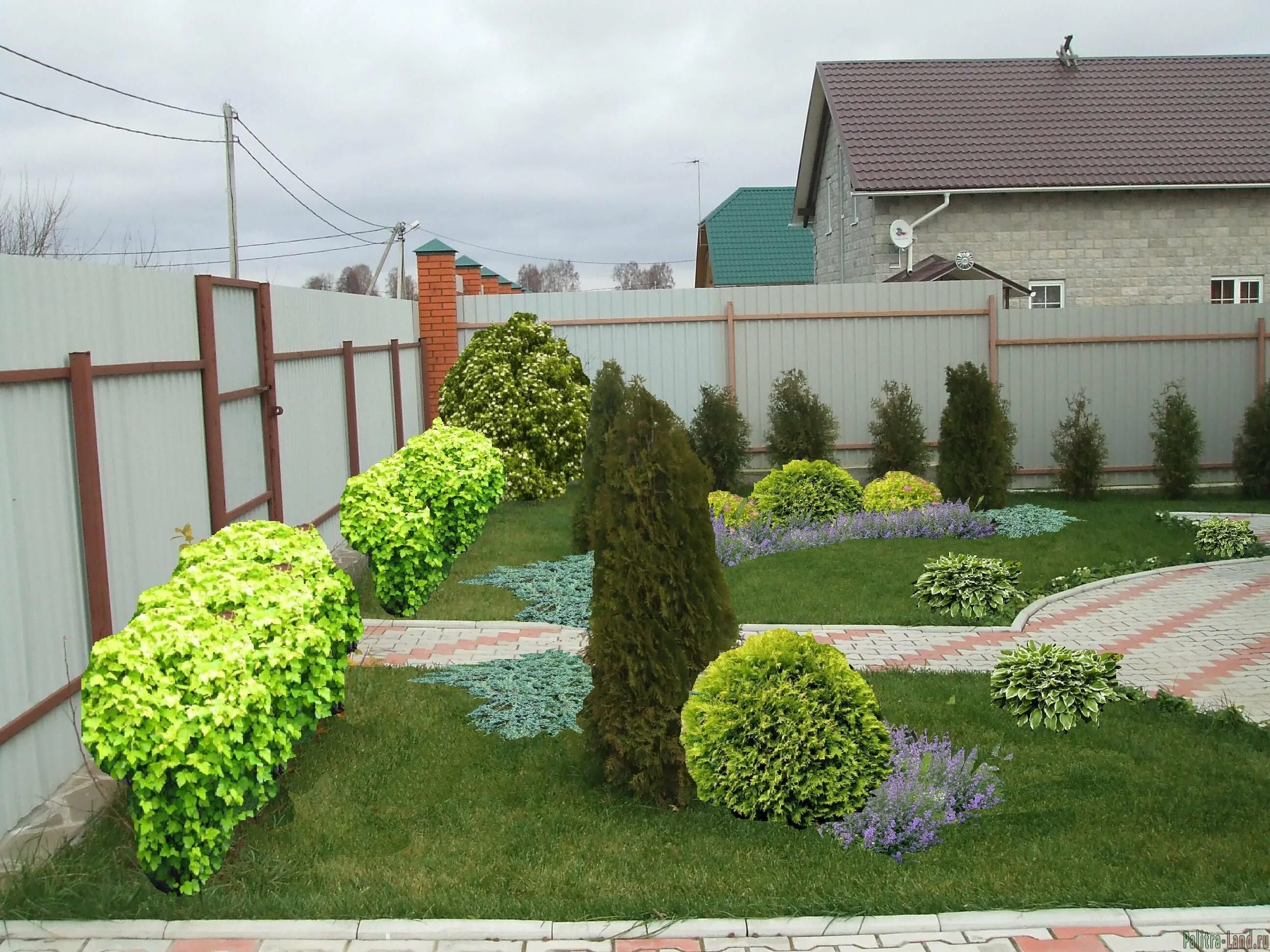 Вокруг кустов. Малоуходный миксбордер. Туя даника бордюр. Спирея березолистная. Спирея вокруг дерева.