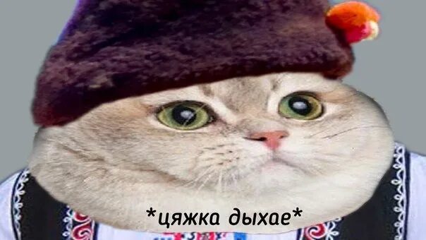 Кот вздыхает мем. Цяжка дыхае кот. Кот вздыхает мем. Серьезный кот. Кот вздыхает мем.