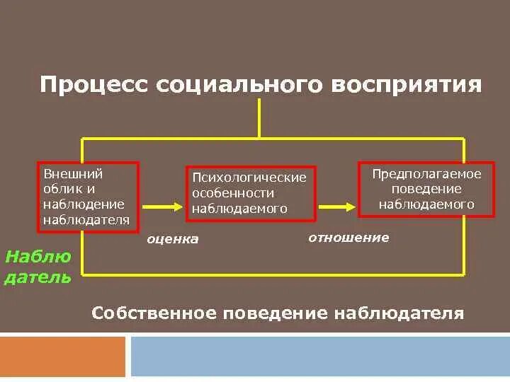 Описание социального процесса. Процесс социального восприятия. Социальный облик объекта восприятия. Социальное восприятие познание поведение и общение. Наблюдение в социальном познании.