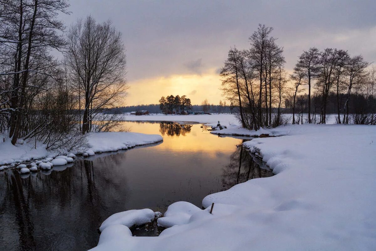 Рассвет в лесу зимой. Зимний парк. Зимний закат. Зимние пейзажи россии. Зима солнце.
