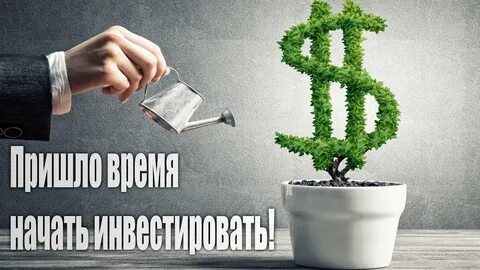 Интересуюсь инвестициями