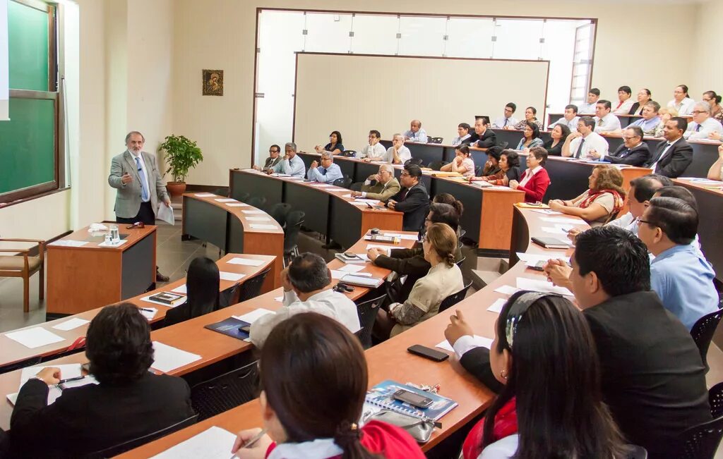 4 6 образование. Universidad Salon. ARIEDADES de Arces Japoneses - Universidad Agrícola это.