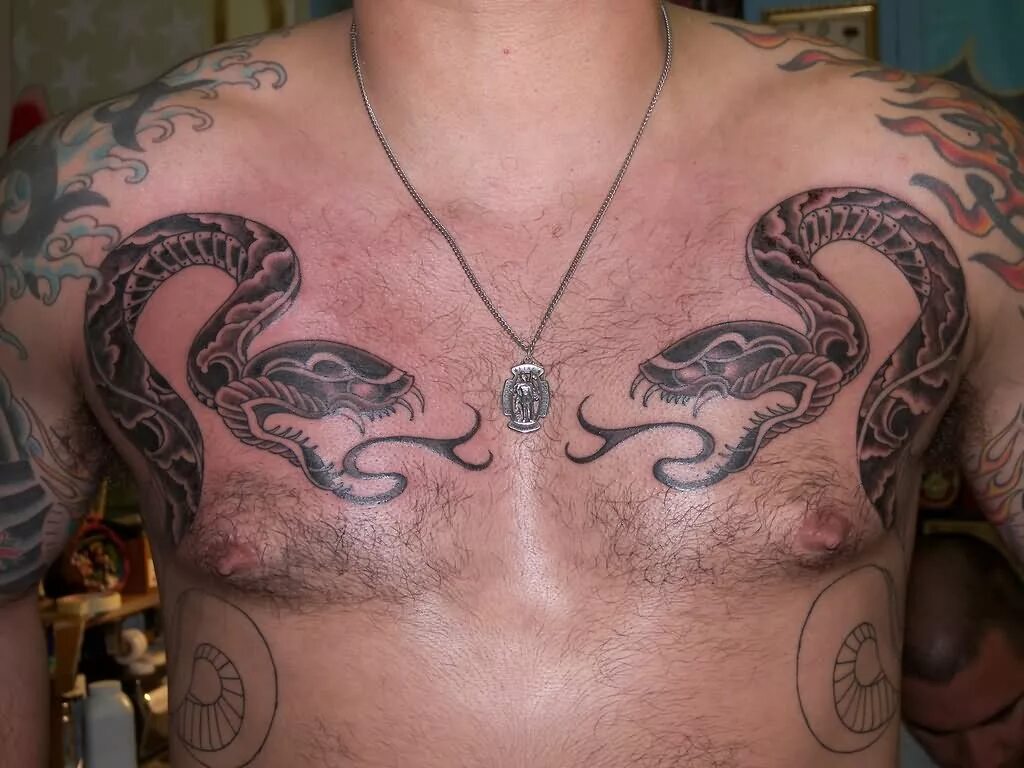 Тату змеи на груди. Тату змея на груди мужская. Тату змея на грудине мужские. Тату змеи на груди мужские. Татуировка змея на плече.