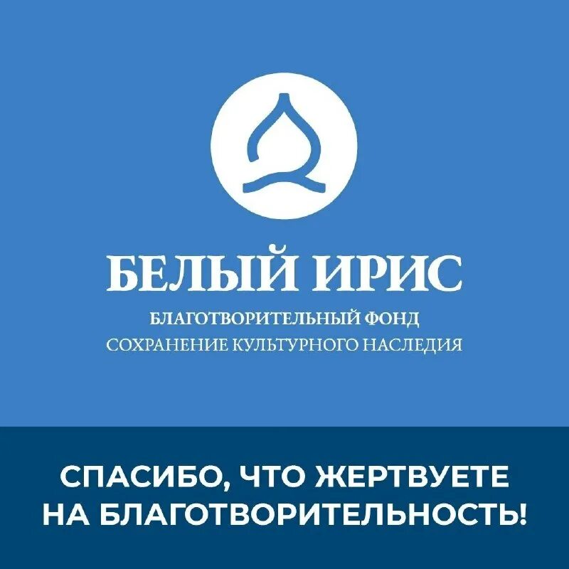 белый ирис фонд. фонд белый ирис. фонд белый ирис курба. фонд белый ирис. белоснежная фонд.