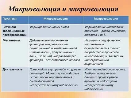 Каковы основные механизмы способствующие микроэволюции
