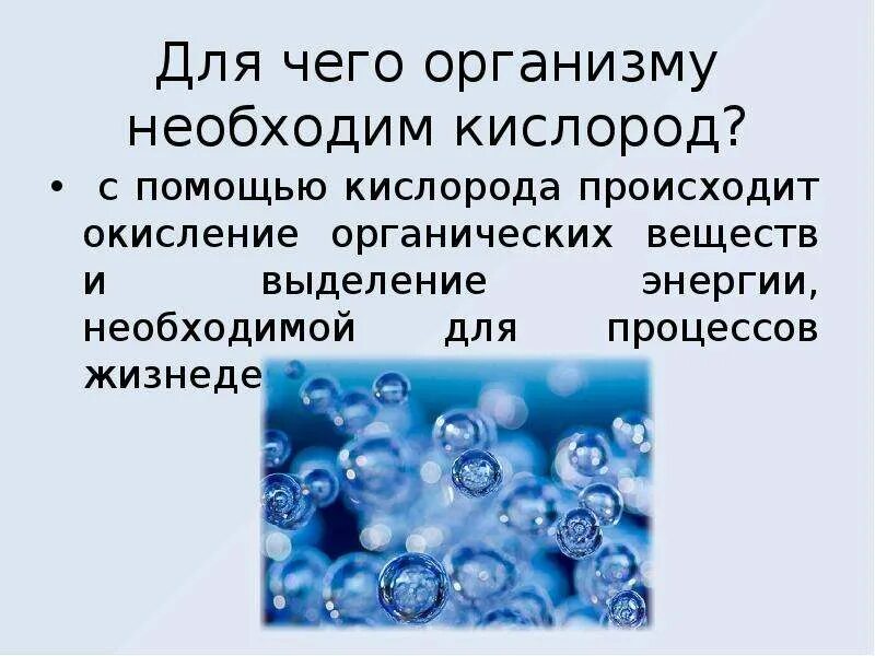 Для чего нужен кислород организму