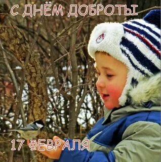 Примеры проявления доброты