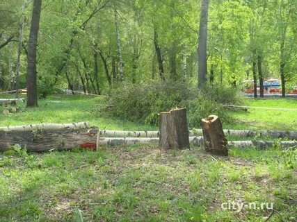 Лета новокузнецк