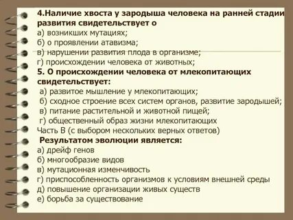 Наличие хвоста у зародыша человека
