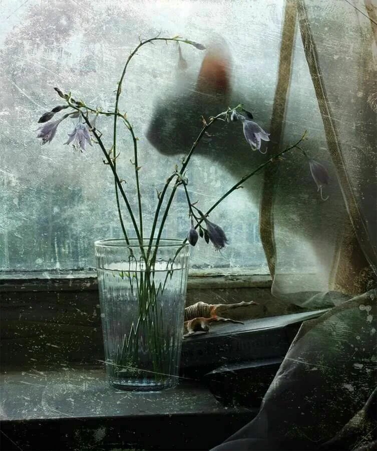 Ilgiz за окном дождь. Натюрморт цветы на окне. Дождливый натюрморт. Дождь за окном.