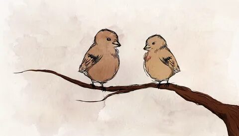 Птица сидящая на ветке не боится