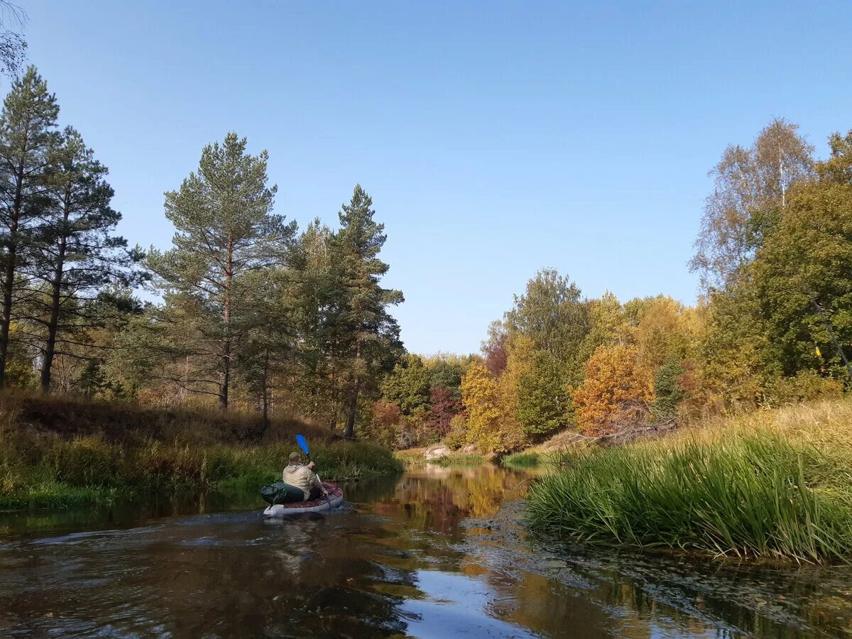 Река Сережа Торопецкий район. Речка Сережа в Нижегородской области.