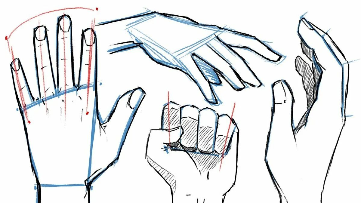 Уроки рисования рук. Кисть руки рисунок. Рисование руки человека. Рука нарисованная.