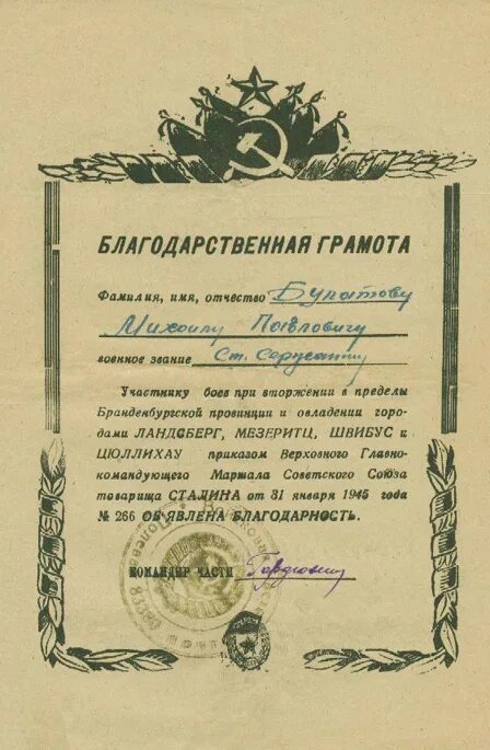 грамота образец. фио грамота. готовые грамоты. фио грамота. грамота награждается.