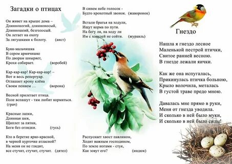 Стихи про животных весной