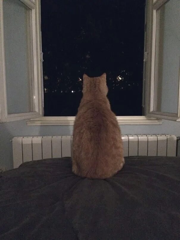 Дом стоит из окна видна даль. Дом стоит свет горит так откуда взялась печаль. Из окна видна даль. Дом стоит свет горит. Из окна видна даль.