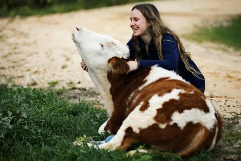 Cow girls