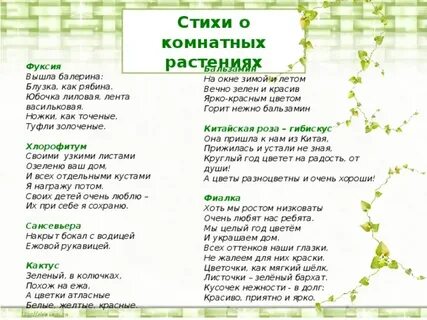 Загадки про комнатные растения для детей