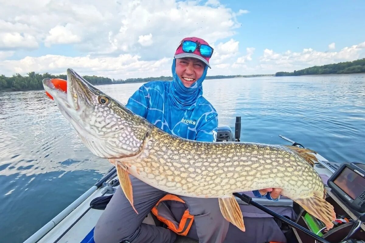 Поймал большую щуку. Поймал большую щуку. Огромная щука. Самая большая щука в мире 145 кг. Щука 27 кг.