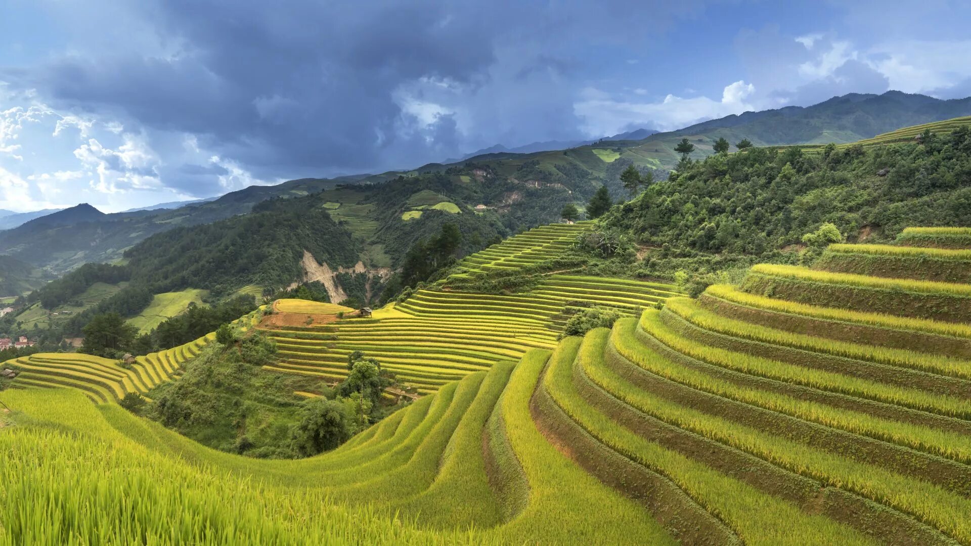 Китайский hill 2. Рисовые плантации во Вьетнаме. Рисовые поля и чайные плантации в Китае. Террасирование склонов во Вьетнаме. Нагорье Юньнань Вьетнам.