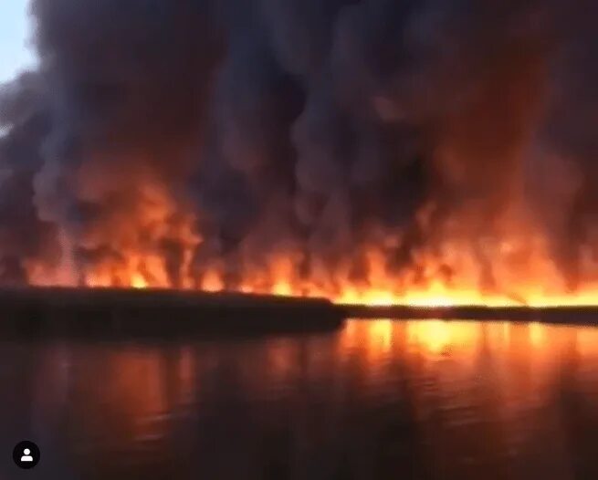 Поджог каспийского моря что это. 505 Поджог Каспийского моря. Волга пожар. Пожары в дельте Волги. Природные пожары Астраханской области.