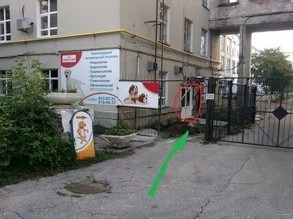 Ветеринарный госпиталь инженерная ул 6 отзывы