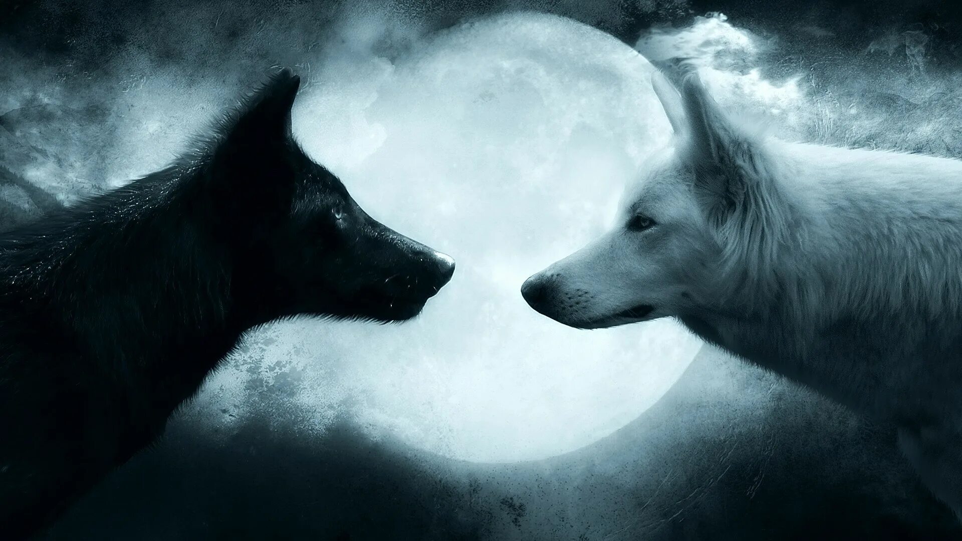 Wolf gaming wallpapers. Two Black and White Wolves Wallpaper Wolf Couple 1080P Wallpaper.