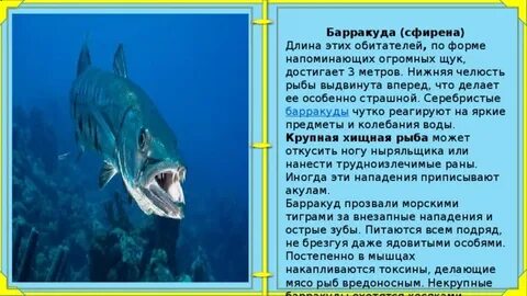 1 июля рыбы