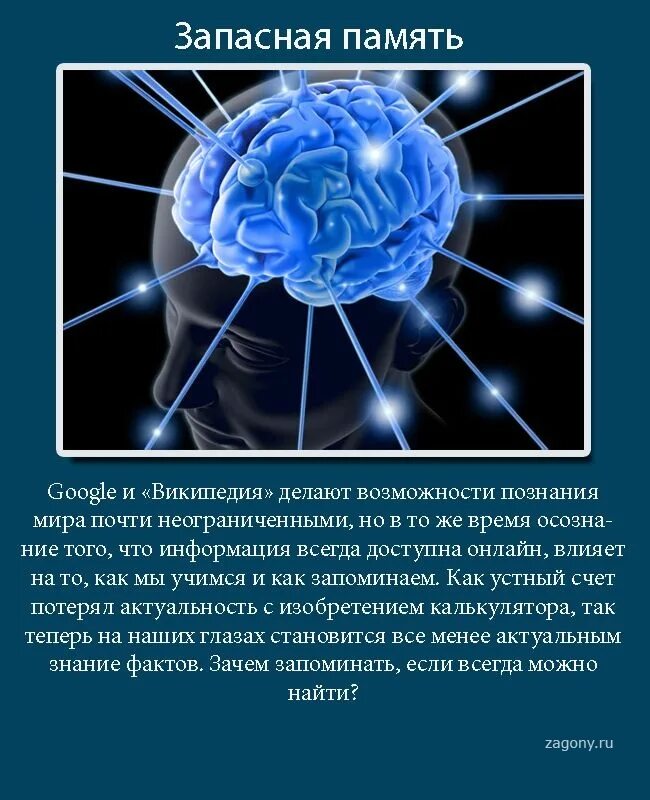 Интересные факты о мозге. Необычные факты про мозге. Интересные факты про интернет. Интересные факты о человеческом мозге.