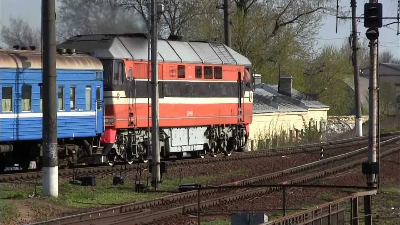 Поезд Санкт-Петербург Гомель. Поезд 083а Санкт-Петербург Гомель. Поезд СПБ Гомель. 190 Поезд.