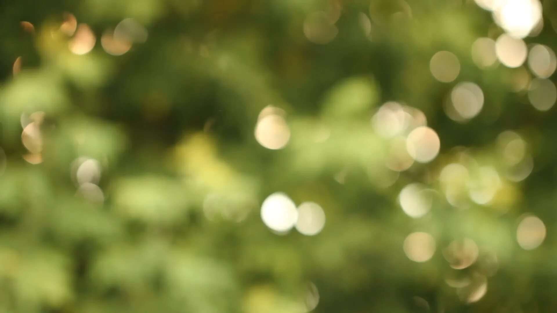 Backdrop blur