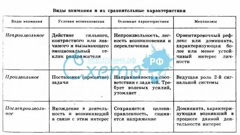 Приведите пример вида внимания 