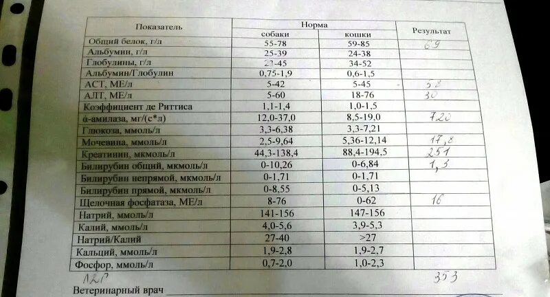 Щелочная фосфатаза гемолиз. Щелочная фосфатаза в биохимическом анализе крови у женщин норма. Щелочная фосфатаза ЩФ норма. Щелочная фосфатаза в биохимическом анализе крови норма. Щелочная фосфатаза понижен у ребенка