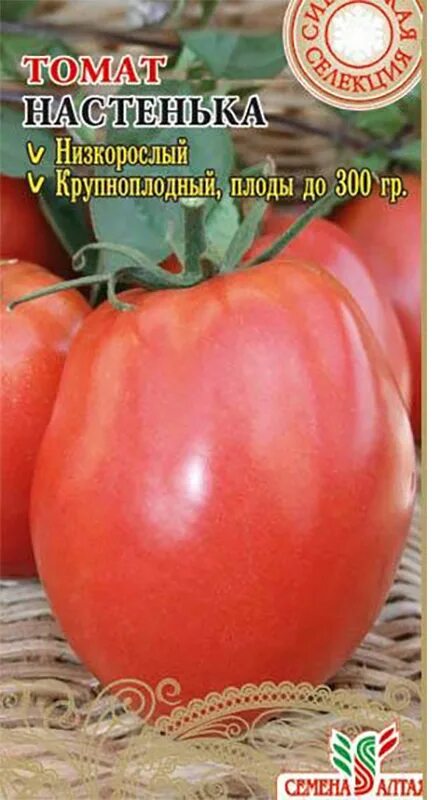 Купить семена томата настенька. Томат Настена семена Алтая. Томат Настенька семена. Сорт помидор Настенька. Помидоры Настя Сибирячка.