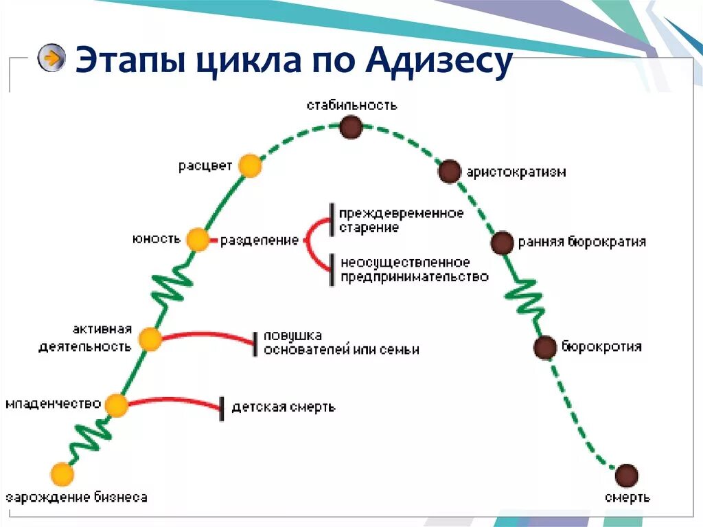 Анализ цикла организации. Модель жизненного цикла предприятия Адизеса. Стадии жизненного цикла компании по Адизесу. Теория жизненных циклов организации и.Адизеса. Жизненный цикл организации по Грейнеру и Адизесу.