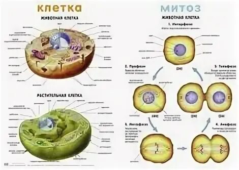 Подробно описа н о