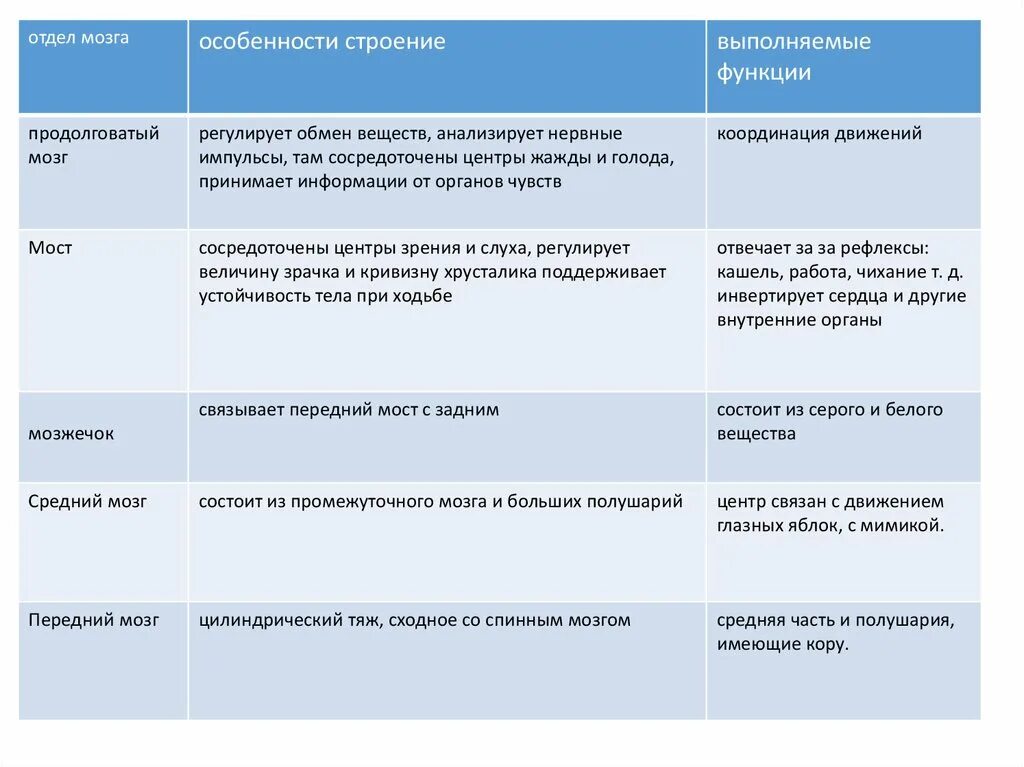 Промежуточный мозг особенности строения и выполняемые функции. Поражение долей головного мозга неврология таблица. таблица поражения долей головного мозга и симптоматика и пробы. отрасли мозга особенности строения выполняемые функции.